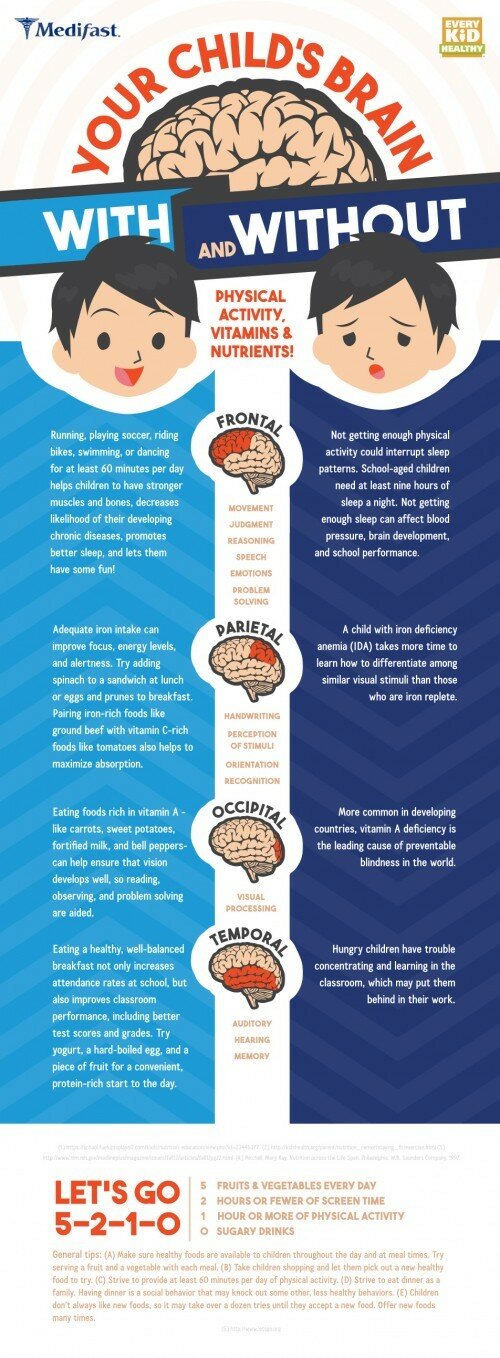 final_brain_infographic